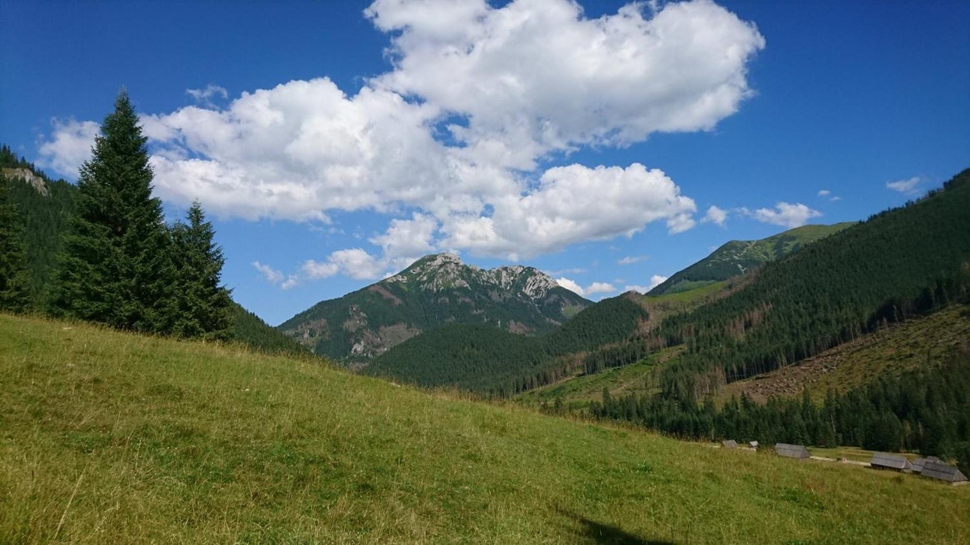 U Suchowiana Zakopane Exteriér fotografie